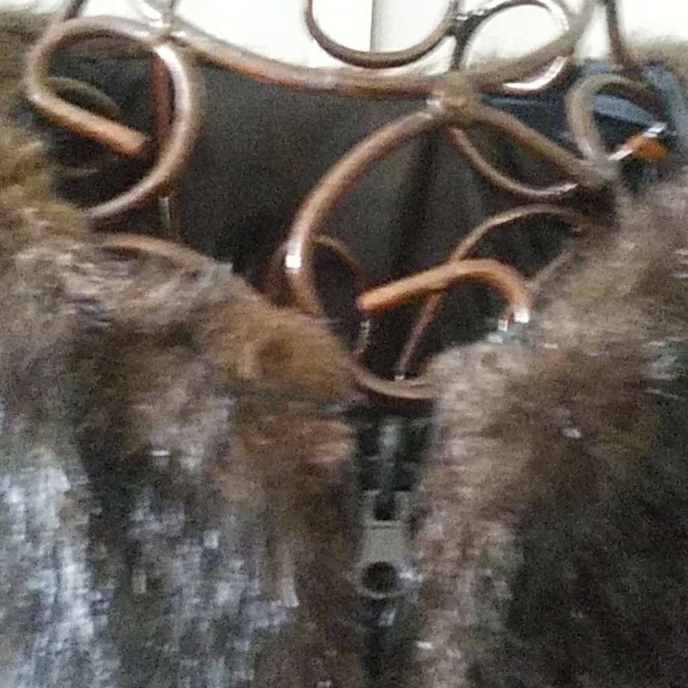 Jacket - Picture 3 of 7